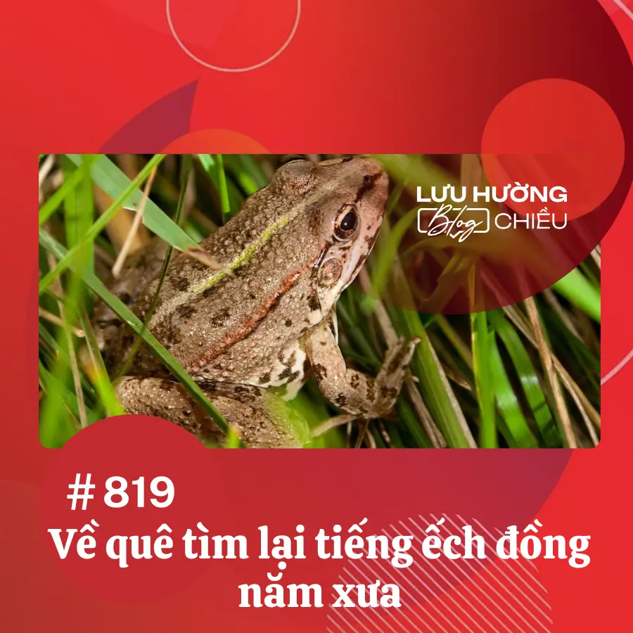 Về quê tìm lại tiếng ếch đồng năm xưa